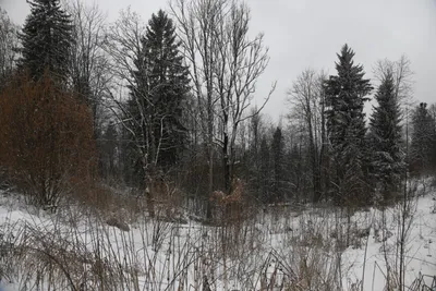 DSC_7067 (Large).JPG